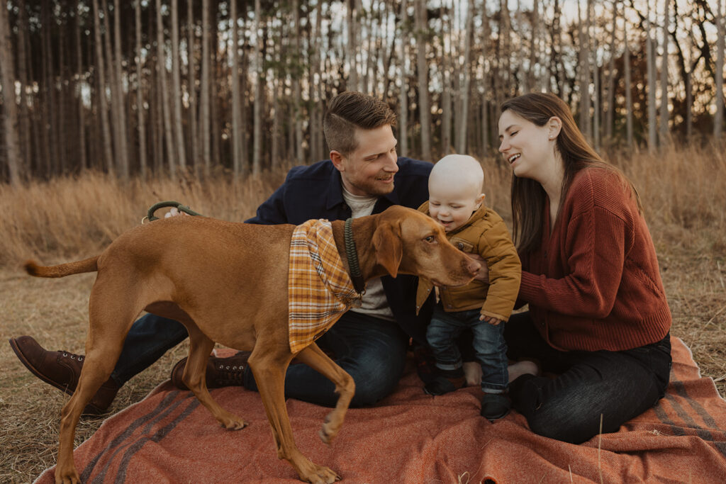 Family photography with dogs in Minnesota field