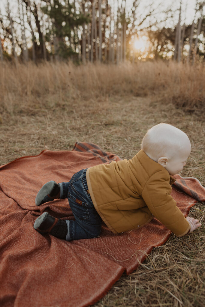 Baby boy crawls on Faribault blanket in family photography with dogs